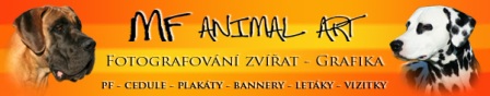   Animal art